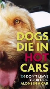 dogs die in hot cars